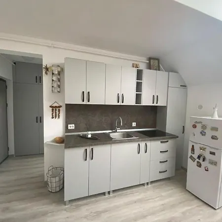 The Mountain Nest Apartmán Brašov